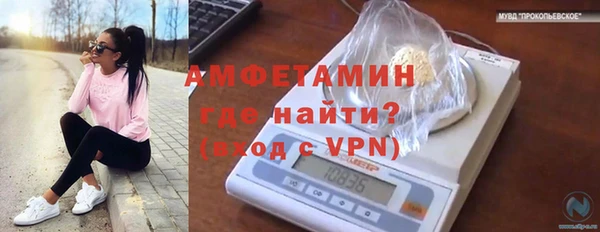 амф Абаза