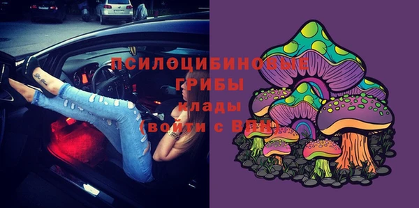 амф Алексеевка