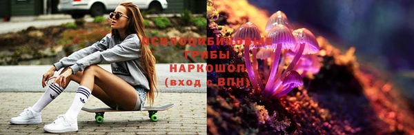 амф Абаза