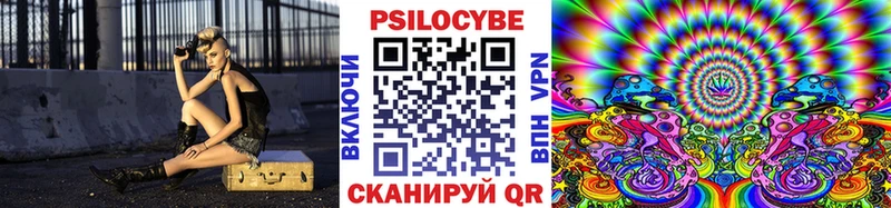 Псилоцибиновые грибы GOLDEN TEACHER купить закладку Шахты